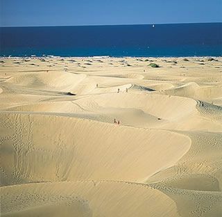 dunek.jpg