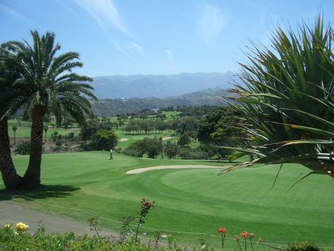 golf1.jpg