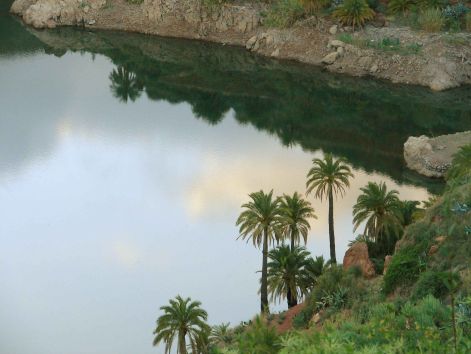 la_sourreda.jpg