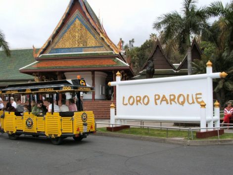 loro-parque.jpg